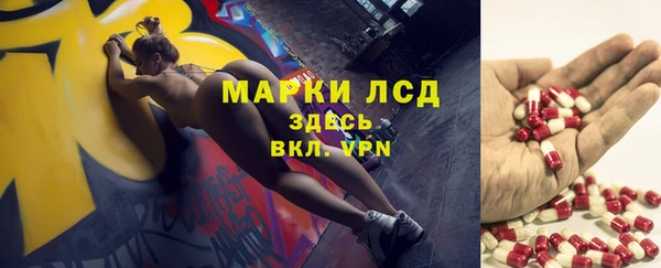 индика Верхний Тагил