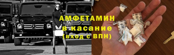 индика Верхний Тагил