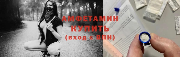 индика Верхний Тагил