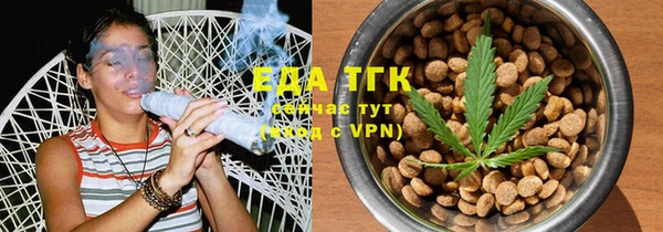 индика Верхний Тагил