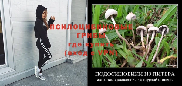 индика Верхний Тагил