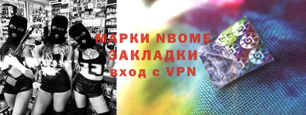 индика Верхний Тагил