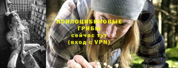 индика Верхний Тагил