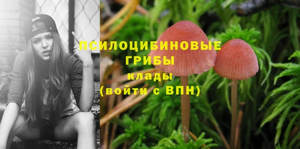 jwh Верея