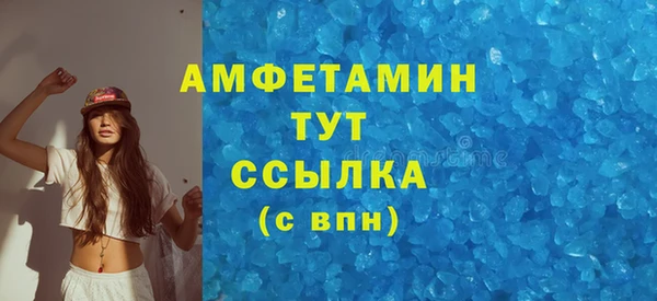 индика Верхний Тагил
