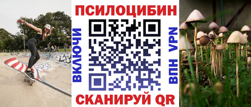 Галлюциногенные грибы Psilocybe  купить наркотик  Нальчик 